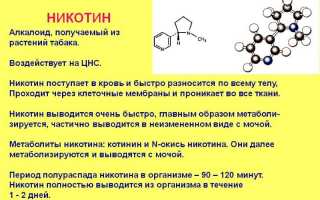 Состав никотина: формула