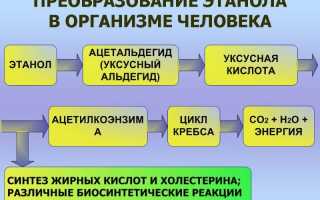 Таблица содержания алкоголя в выдыхаемом воздухе в промилле