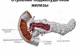 Как проходит лечение рака поджелудочной железы в Израиле?