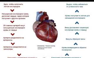 Как наркотики влияют на организм человека: видео