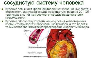 Влияние никотина на кровеносные сосуды