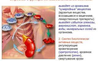 Можно ли пить Флюкостат с алкоголем