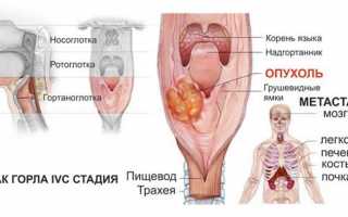 Нюхательный табак снафф: что это такое