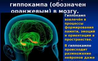 Что такое палимпсест от алкоголя