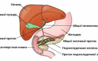 Чем подлечить печень и поджелудочную