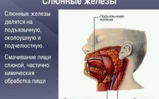 Почему худеют от курения